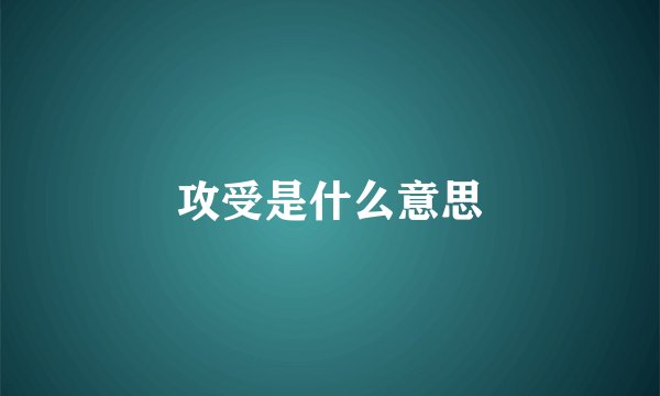 攻受是什么意思