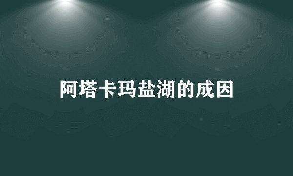 阿塔卡玛盐湖的成因