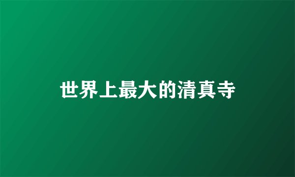 世界上最大的清真寺