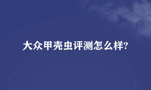 大众甲壳虫评测怎么样?