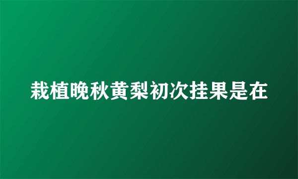 栽植晚秋黄梨初次挂果是在