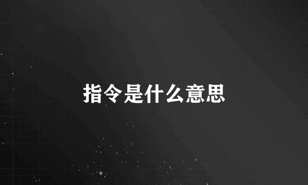 指令是什么意思
