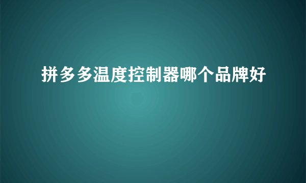 拼多多温度控制器哪个品牌好