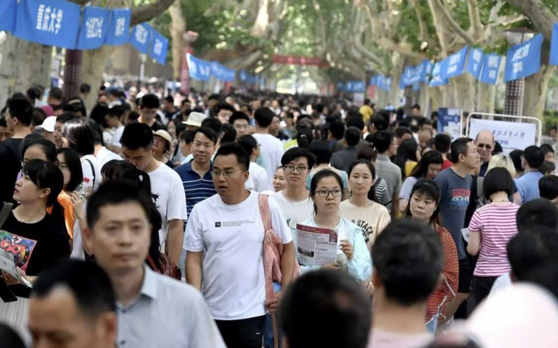 福建高考分数线2021一本,二本,专科分数线