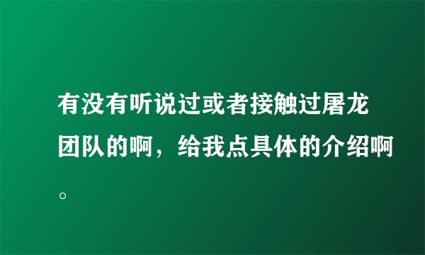 有没有听说过或者接触过屠龙团队的啊，给我点具体的介绍啊。