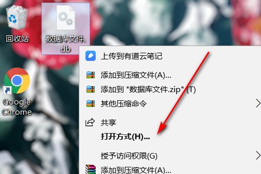 db是什么文件格式