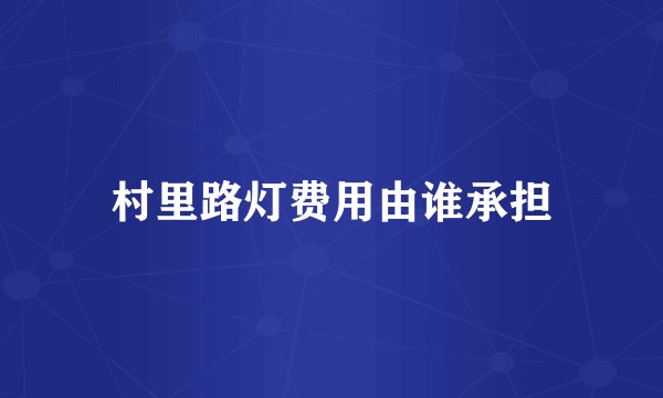 村里路灯费用由谁承担