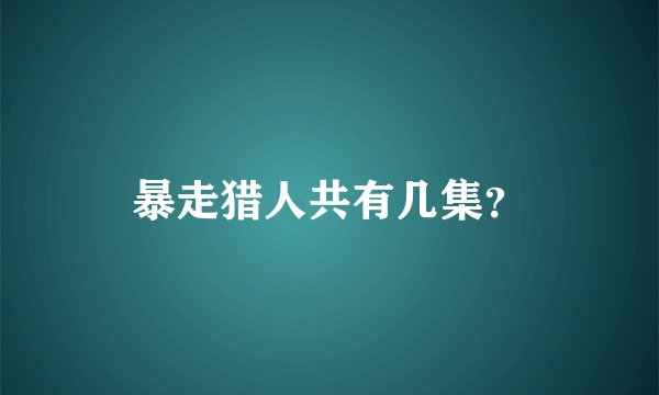 暴走猎人共有几集？