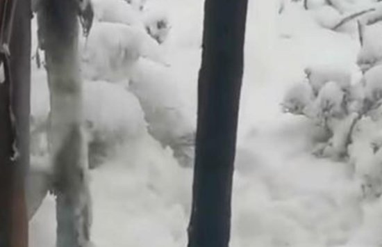 奇景！甘肃肃南七月飞雪，有牧民帐篷被压塌，灾民是否得以安置？