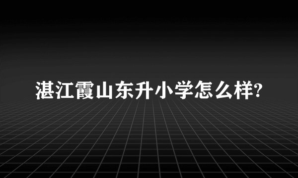 湛江霞山东升小学怎么样?
