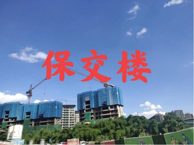 “保交楼”一周年成效如何?