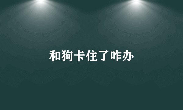 和狗卡住了咋办