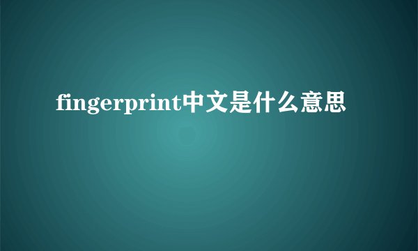 fingerprint中文是什么意思