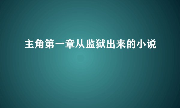 主角第一章从监狱出来的小说