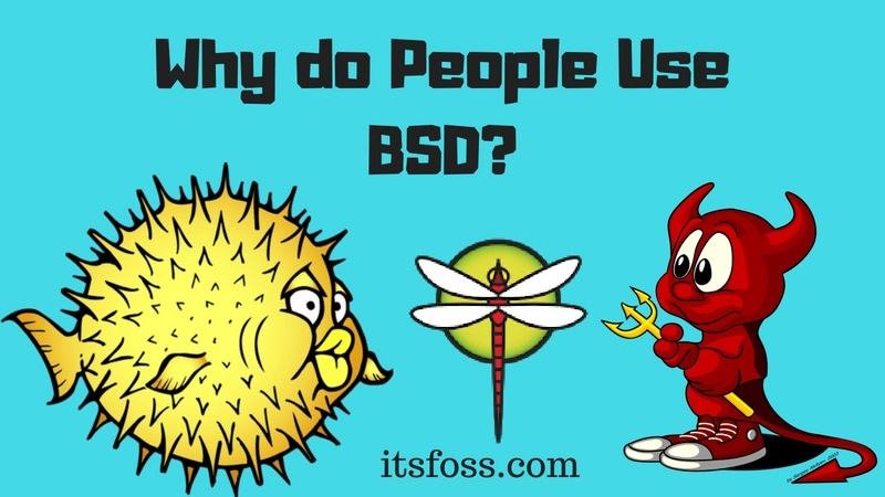 BSD是什么意思