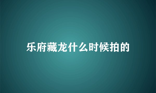 乐府藏龙什么时候拍的