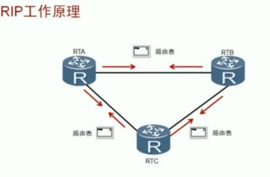 rip是什么意思啊