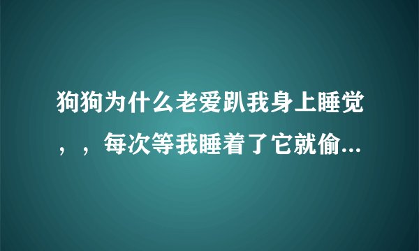 狗狗为什么老爱趴我身上睡觉，，每次等我睡着了它就偷偷跑我旁边挤着我睡，赶也赶不走