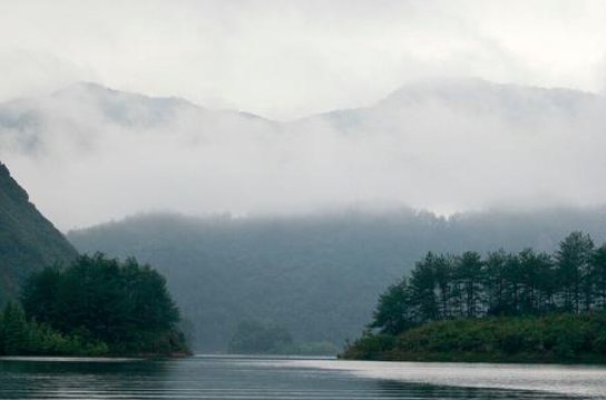 唐代诗人贾岛两句三年得一吟双泪流的诗句是