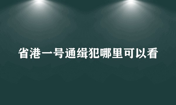 省港一号通缉犯哪里可以看