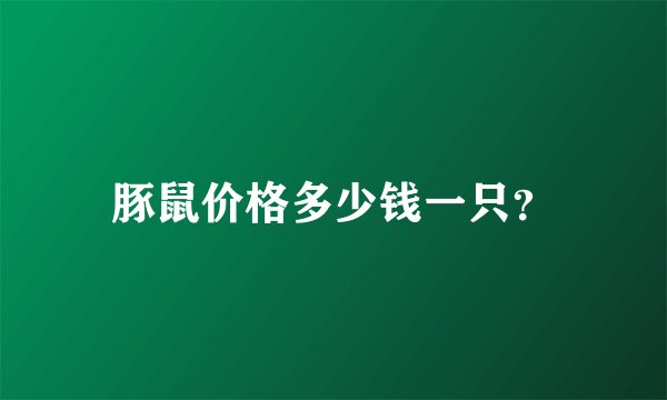 豚鼠价格多少钱一只？