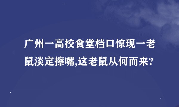 广州一高校食堂档口惊现一老鼠淡定擦嘴,这老鼠从何而来?