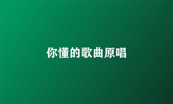 你懂的歌曲原唱