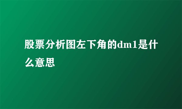 股票分析图左下角的dm1是什么意思