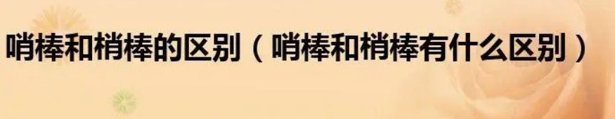 梢棒是什么