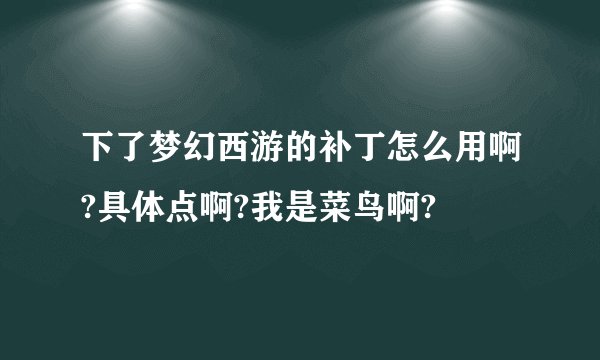 下了梦幻西游的补丁怎么用啊?具体点啊?我是菜鸟啊?