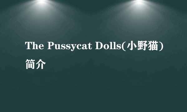The Pussycat Dolls(小野猫)简介
