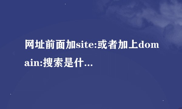 网址前面加site:或者加上domain:搜索是什么意思？