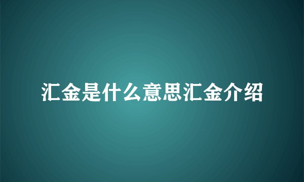 汇金是什么意思汇金介绍