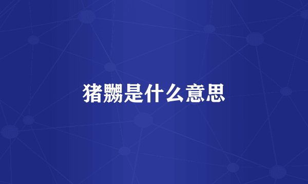 猪嬲是什么意思