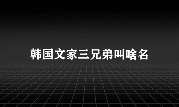韩国文家三兄弟叫啥名