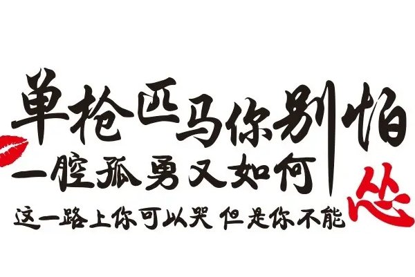 单枪匹马的意思解释
