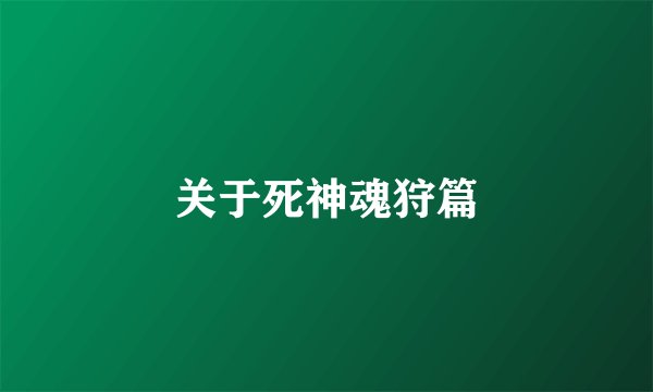 关于死神魂狩篇