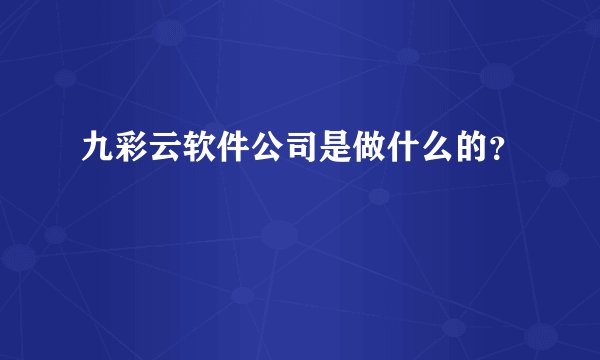 九彩云软件公司是做什么的？