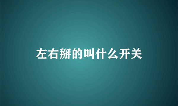 左右掰的叫什么开关