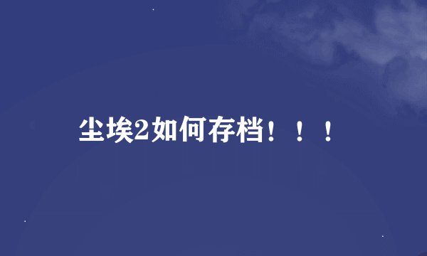 尘埃2如何存档！！！