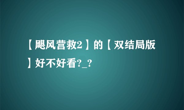 【飓风营救2】的【双结局版】好不好看?_?