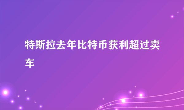 特斯拉去年比特币获利超过卖车