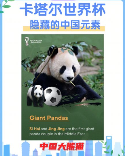 “中国除了中国队没去其他都去了”是什么梗？