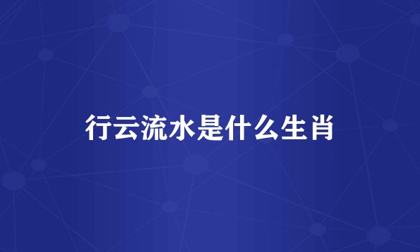 行云流水是什么生肖