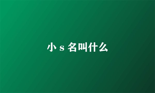 小ｓ名叫什么