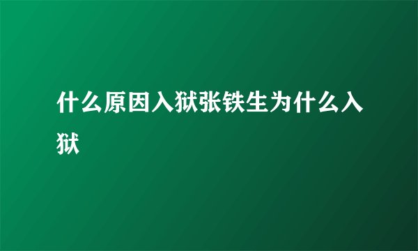 什么原因入狱张铁生为什么入狱