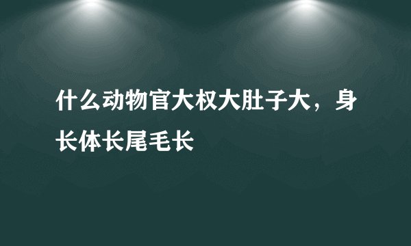 什么动物官大权大肚子大，身长体长尾毛长