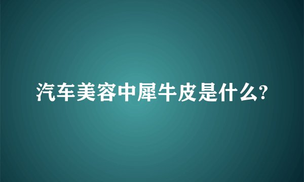 汽车美容中犀牛皮是什么?