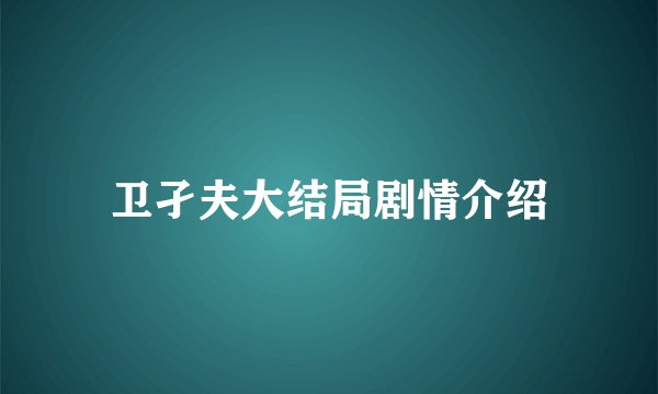 卫孑夫大结局剧情介绍