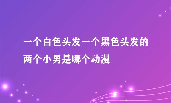 一个白色头发一个黑色头发的两个小男是哪个动漫